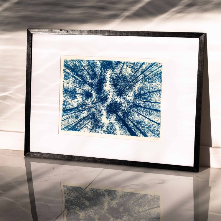 Cyjanotypia. Autorska fotografia w ramce 50x70cm, oryginał 1/1. " Las II"