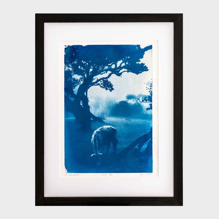 Cyjanotypia. Autorska fotografia w ramce, unikat 1/1. "Fanal X" 30x40cm