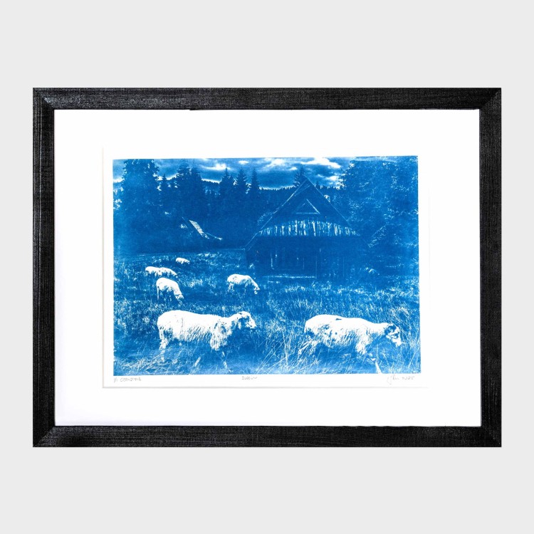Cyjanotypia. Autorska fotografia w ramce, unikat 1/1. "Jurgów" 30x40cm
