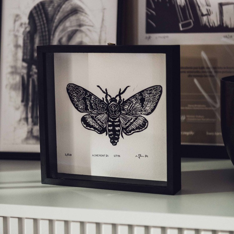 Egzemplarz kolekcjonerski No: 1/10 Linoryt " Acherontia Styx " w bukowej gablotce