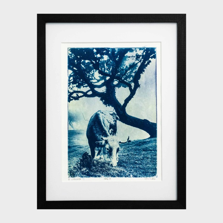 Cyjanotypia. Autorska fotografia w ramce, unikat 1/1. "Fanal XI" 30x40cm