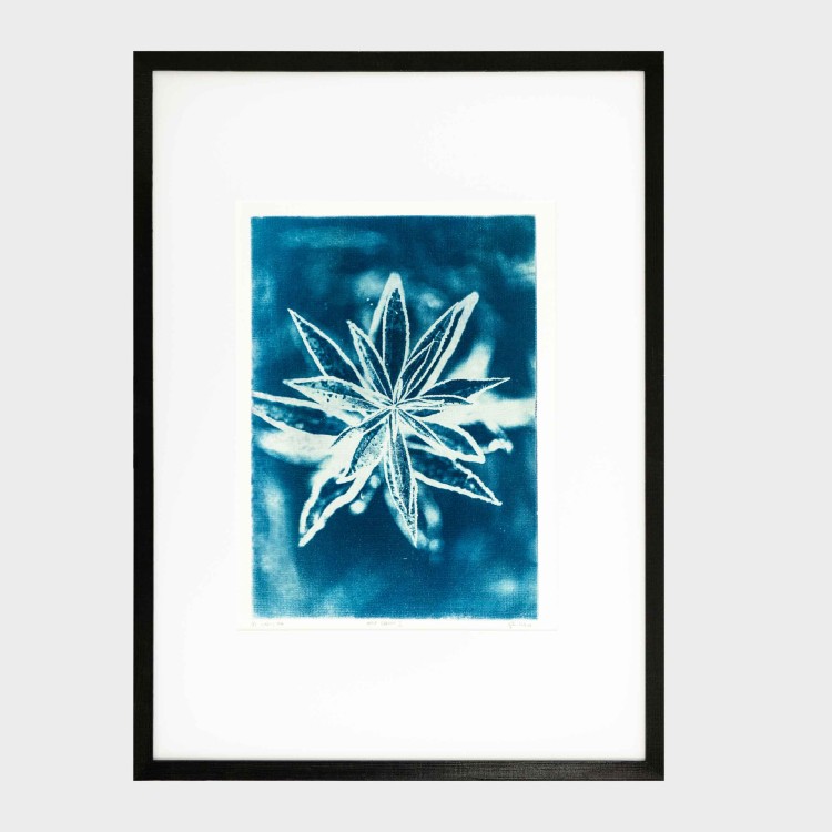 Cyjanotypia. Autorska fotografia w ramce, unikat 1/1. "Inter Garmina I" 50x70cm (id: 449)