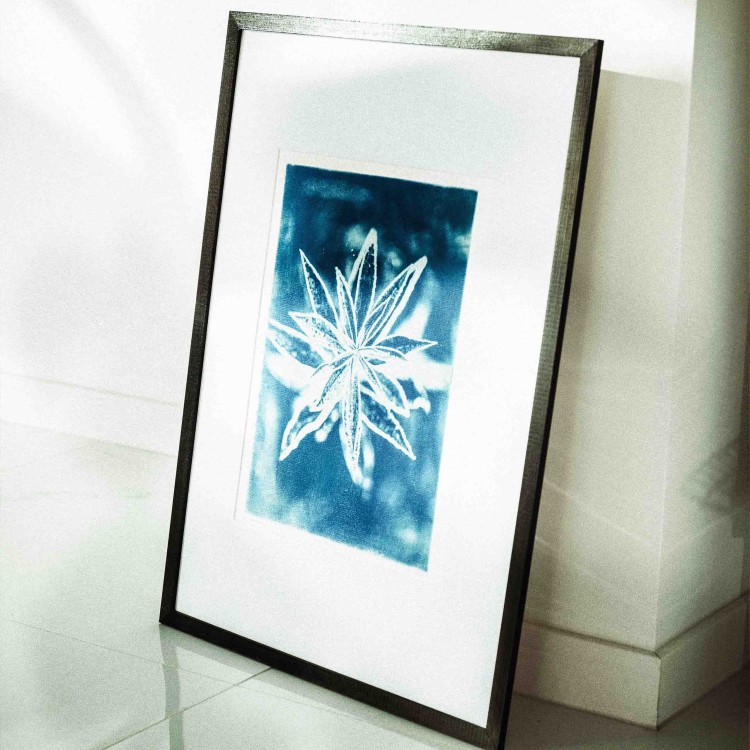 Cyjanotypia. Autorska fotografia w ramce, unikat 1/1. "Inter Garmina I" 50x70cm (id: 449)