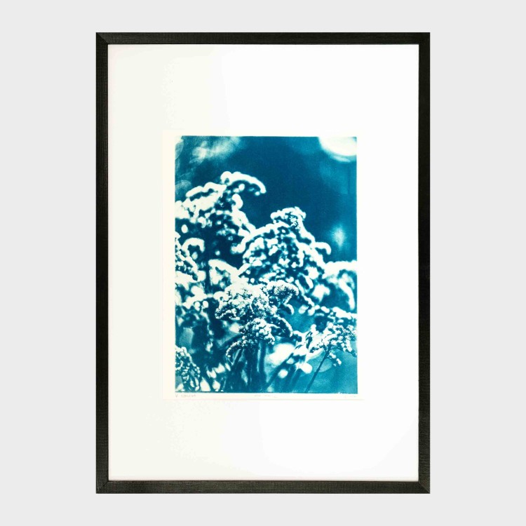 Cyjanotypia. Autorska fotografia w ramce, unikat 1/1. "Inter Garmina II" 50x70cm