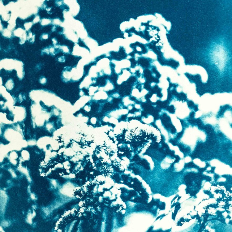 Cyjanotypia. Autorska fotografia w ramce, unikat 1/1. "Inter Garmina II" 50x70cm