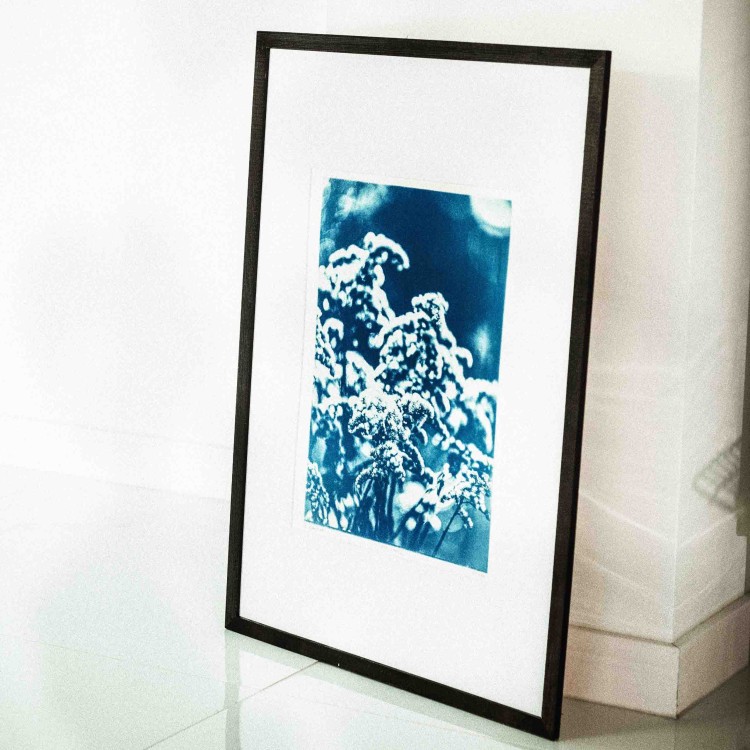 Cyjanotypia. Autorska fotografia w ramce, unikat 1/1. "Inter Garmina II" 50x70cm