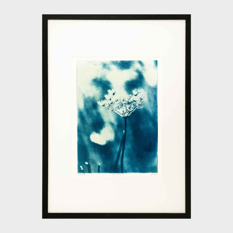 Cyjanotypia. Autorska fotografia w ramce, unikat 1/1. "Inter Garmina III" 50x70cm