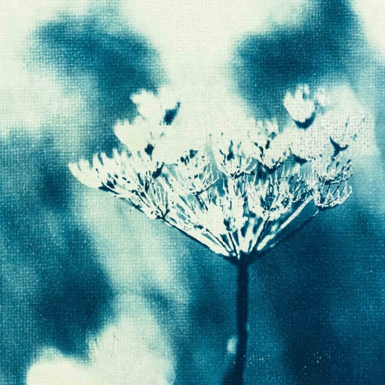 Cyjanotypia. Autorska fotografia w ramce, unikat 1/1. "Inter Garmina III" 50x70cm