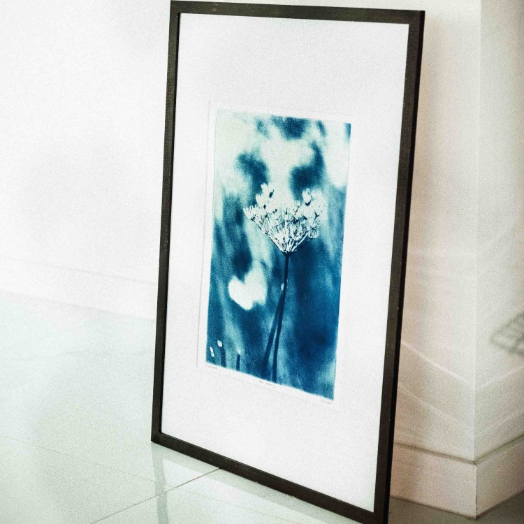 Cyjanotypia. Autorska fotografia w ramce, unikat 1/1. "Inter Garmina III" 50x70cm