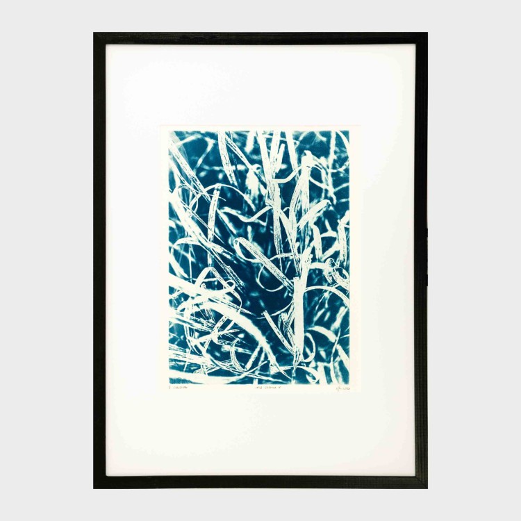 Cyjanotypia. Autorska fotografia w ramce, unikat 1/1. "Inter Garmina IV" 50x70cm