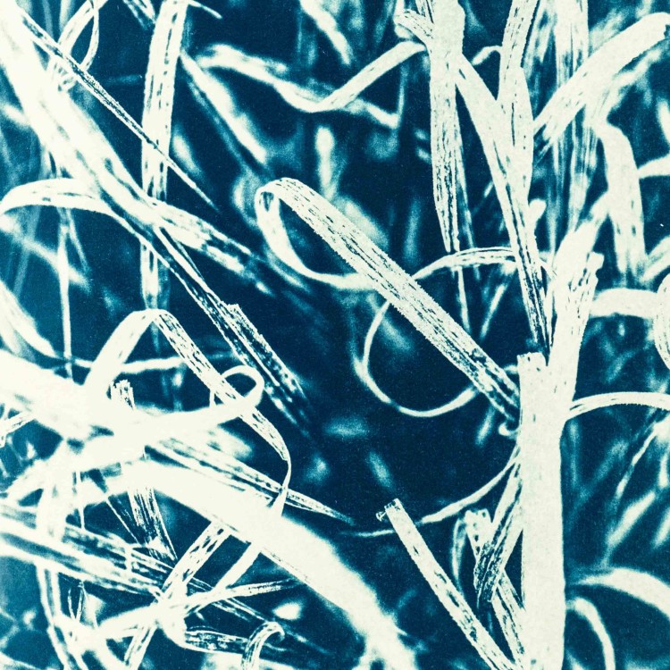 Cyjanotypia. Autorska fotografia w ramce, unikat 1/1. "Inter Garmina IV" 50x70cm