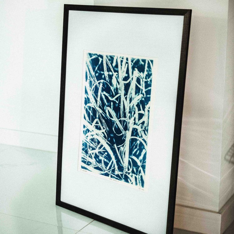 Cyjanotypia. Autorska fotografia w ramce, unikat 1/1. "Inter Garmina IV" 50x70cm