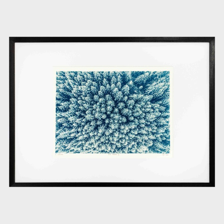 Cyjanotypia. Autorska fotografia w ramce, unikat 1/1. "Inter Arboris II" 50x70cm