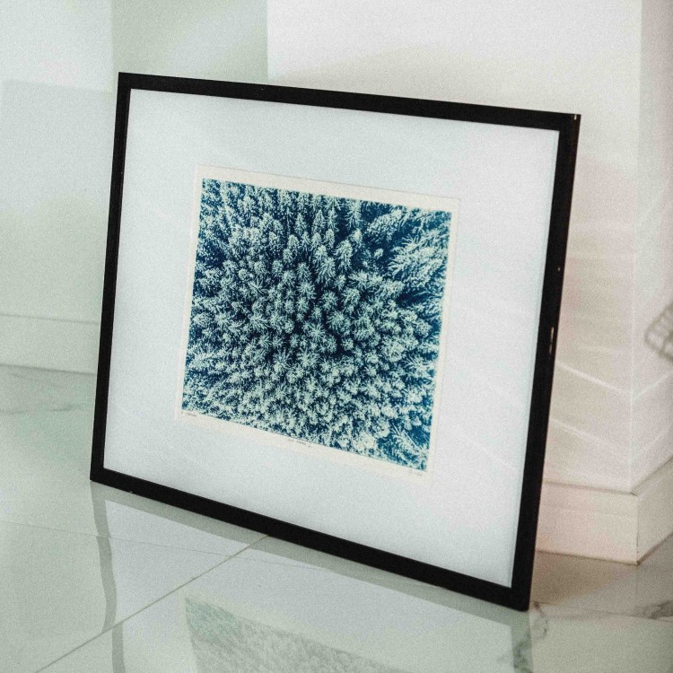 IA  2 5.jpgCyjanotypia. Autorska fotografia w ramce, unikat 1/1. "Inter Arboris II" 50x70cm