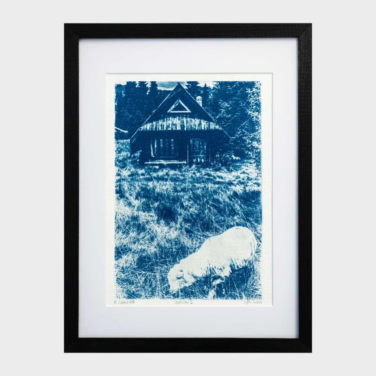 Cyjanotypia. Autorska fotografia w ramce, unikat 1/1. "Jurgów II" 30x40cm