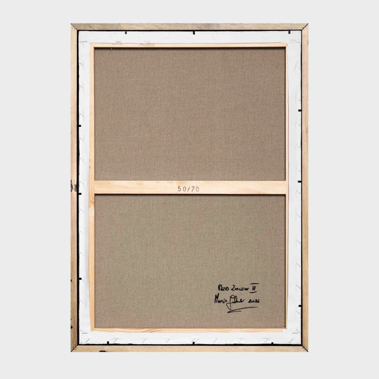 obraz Taurus akryl/płótno 50x70cm w ramie, 2026