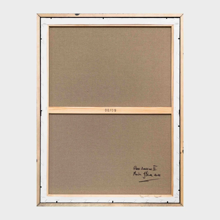 obraz Canis akryl/płótno 60x80cm w ramie, 2026