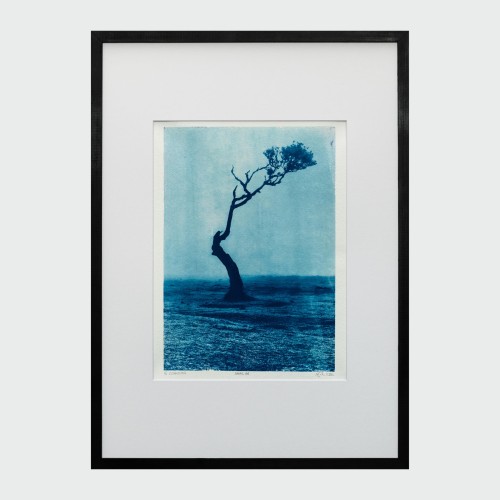 Cyjanotypia. Unikatowa fotografia w ramce 50x70cm, unikat 1/1. "Fanal XVI"