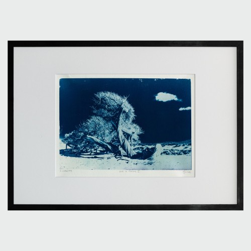 Cyjanotypia. Unikatowa fotografia w ramce 50x70cm, unikat 1/1. "Dune di Piscinas II"