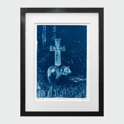 Cyjanotypia. Autorska fotografia w ramce, unikat 1/1. "Ursus Arctos I" 30x40cm