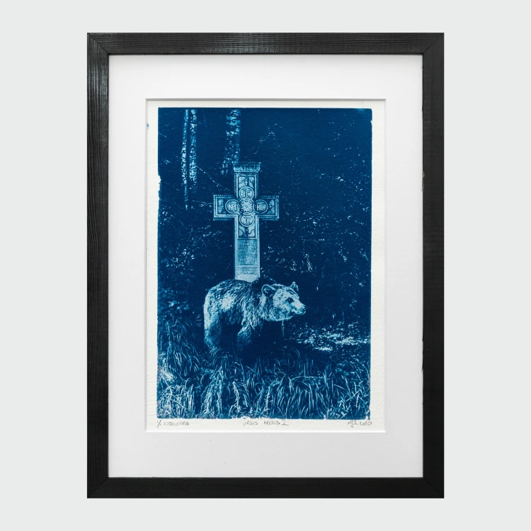 Cyjanotypia. Autorska fotografia w ramce, unikat 1/1. "Ursus Arctos I" 30x40cm