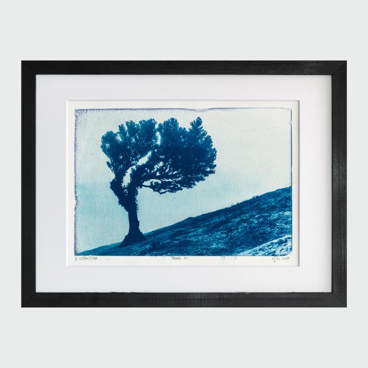 Cyjanotypia. Autorska fotografia w ramce, unikat 1/1. "Fanal XI" 30x40cm