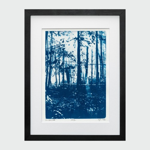 Cyjanotypia. Autorska fotografia w ramce, unikat 1/1. "Las III" 30x40cm