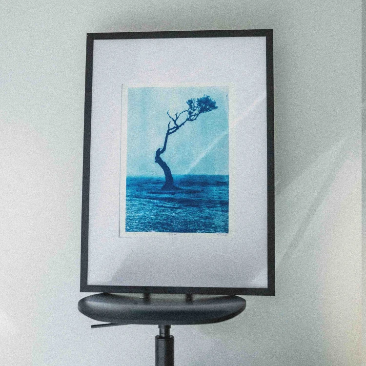 Cyjanotypia. Unikatowa fotografia w ramce 50x70cm, unikat 1/1. "Fanal XVI"