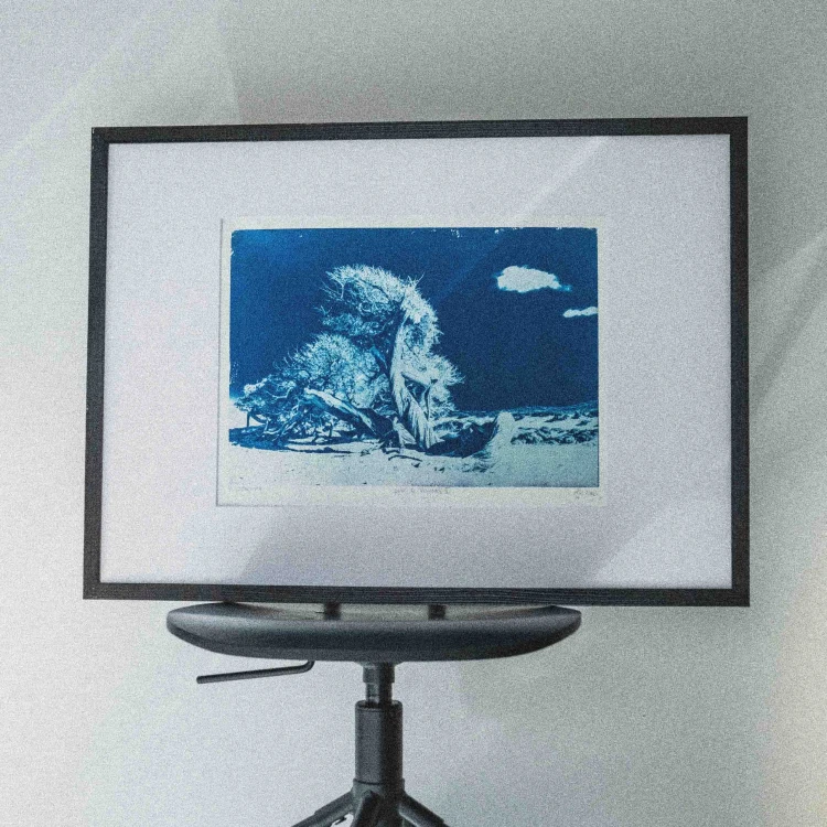 Cyjanotypia. Unikatowa fotografia w ramce 50x70cm, unikat 1/1. "Dune di Piscinas II"