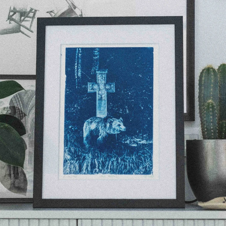 Cyjanotypia. Autorska fotografia w ramce, unikat 1/1. "Ursus Arctos I" 30x40cm