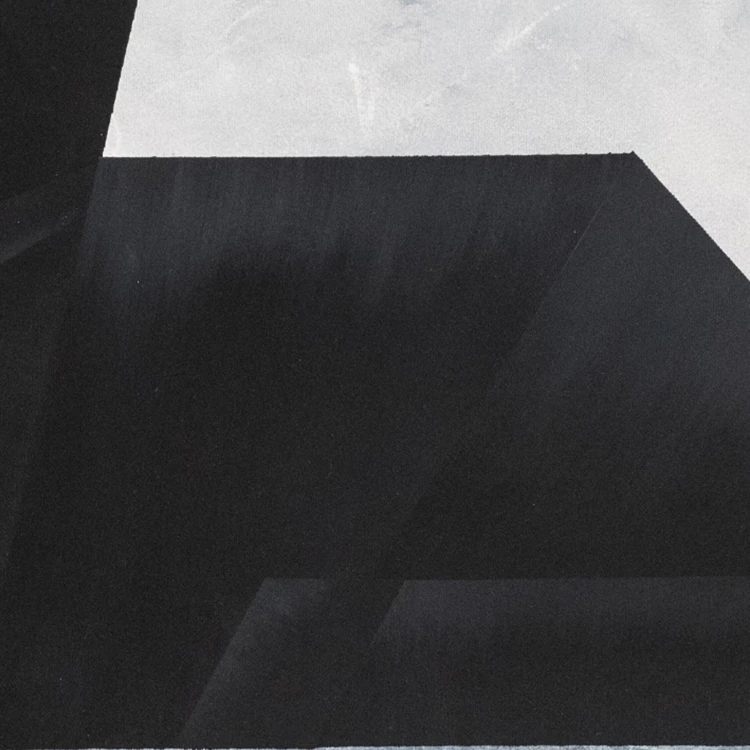 obraz Canis V akryl/płótno 100x50cm, 2026