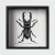 Owad  Lucanus Cinnamomeus wykonany techniką linorytu w drewnianej gablotce. Unikalna grafika linoryt